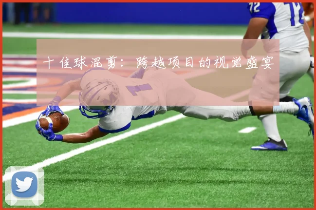 十佳球混剪:跨越项目的视觉盛宴